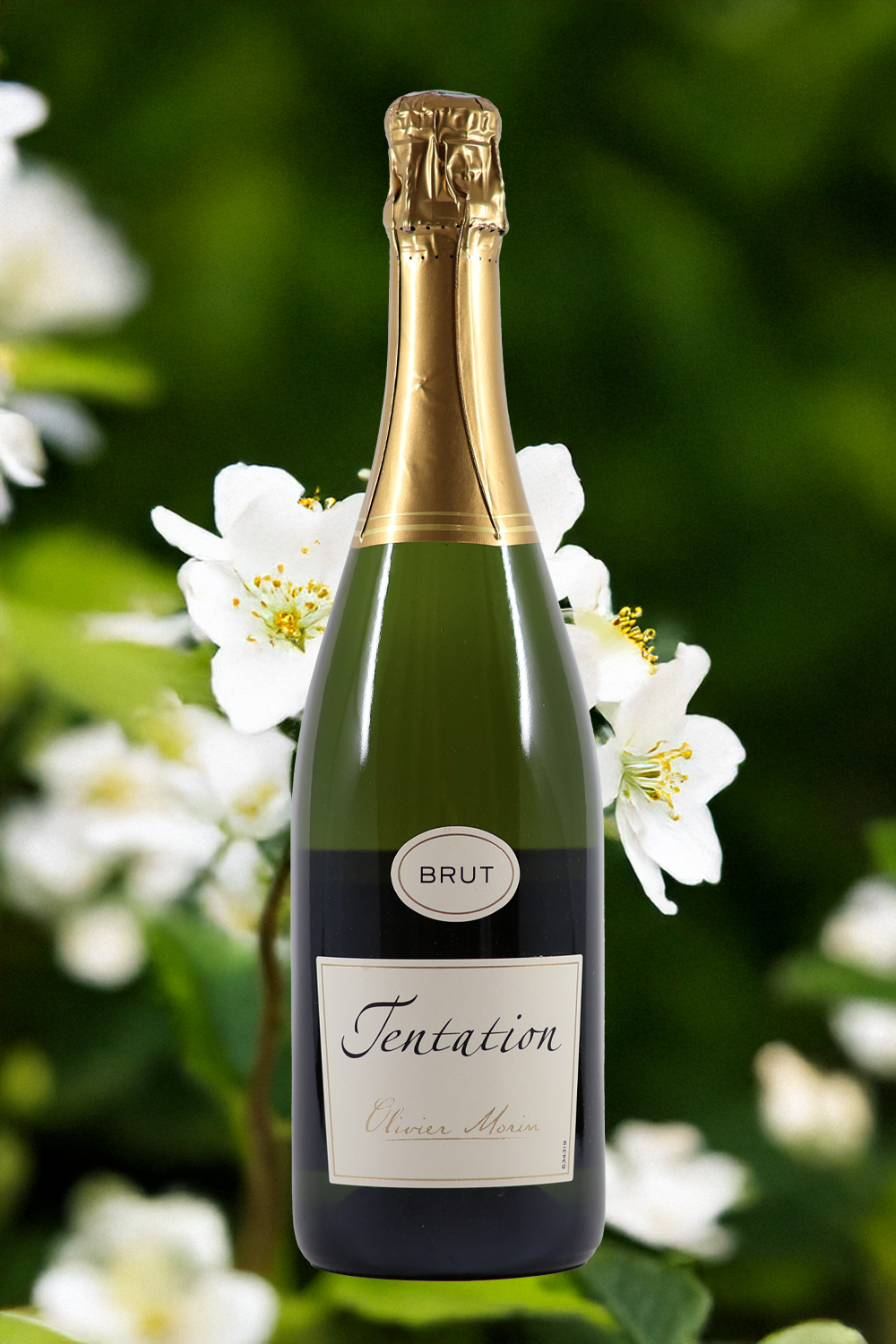 Olivier Morin ‘Tentation’ Crémant de Bourgogne